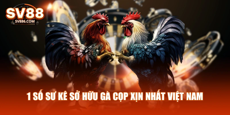 1 số sư kê sở hữu gà cọp xịn nhất Việt Nam