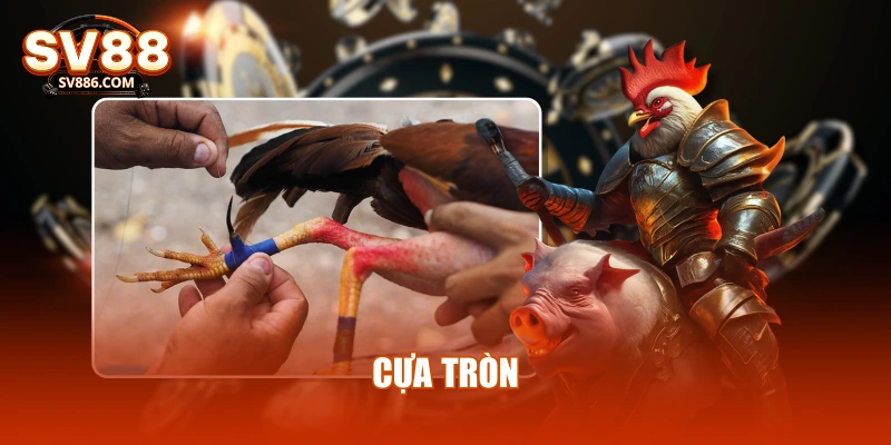 Cựa tròn