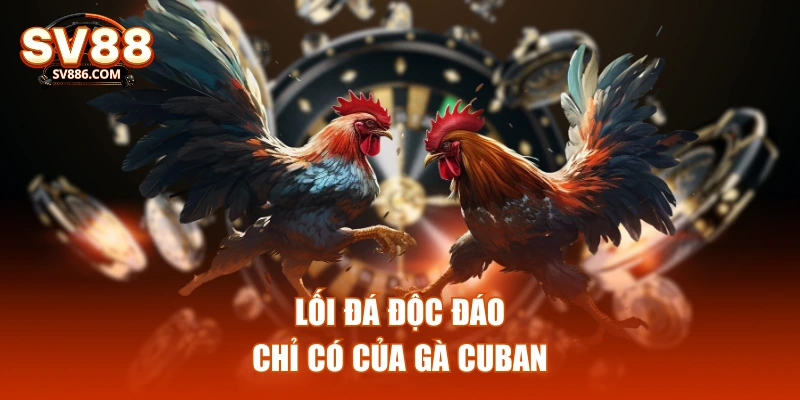 Lối đá độc đáo chỉ có của gà cuban
