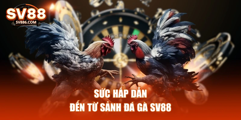 Sức hấp dẫn đến từ sảnh đá gà SV88