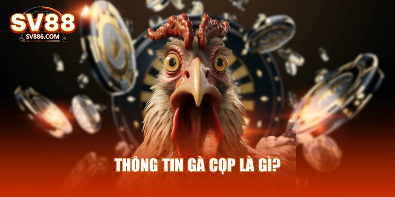 Thông tin gà cọp là gì?